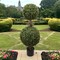 35" Double Boxwood Ball Topiary Tree in Black Pot, Floral Home by Artificial Flowers
